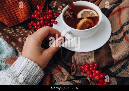 Concept d'ambiance d'automne. Main féminine avec manucure rouge. Thé chaud avec bâtonnets de citron et de cannelle sur fond confortable d'écharpe en tricot. FAL Banque D'Images