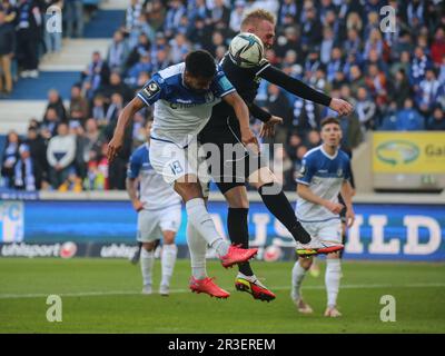 Leon Bell Bell 1.FC Magdeburg et Leandro Putaro SC Verl dans le match 1. FC Magdeburg vs. SC Verl DFB football 15.Spieltag 3.LIG Banque D'Images