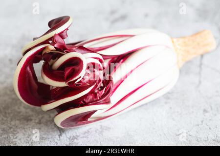 Radicchio Rosso di Trévise. Rouge vif avec une saveur légèrement amère, radicchio Rosso di Trévise utilise l'eau de source naturelle à b Banque D'Images