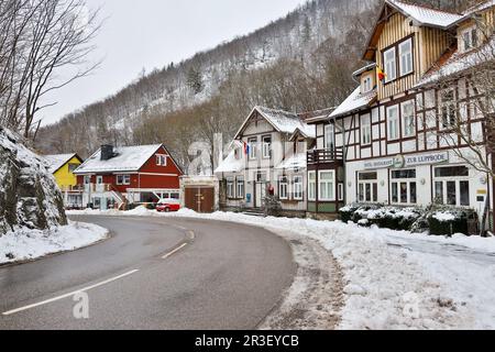 Dans la Bodetal Treseburg vallée du Harz Banque D'Images