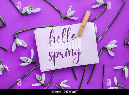 Texte de la carte de vœux HELLO SPRING lettering with Snowdrop flowers. Fleurs du printemps. Printemps. Bouquet frais Banque D'Images