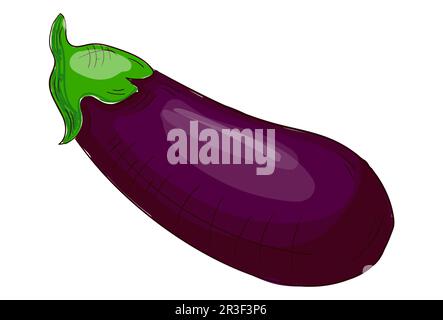 Aubergine fraîche réaliste isolée sur fond blanc - Vector Banque D'Images