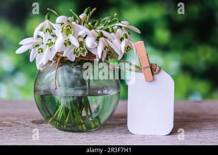 Bouquet de gouttes de neige dans un vase en verre avec eau. Copier l'espace pour le texte. Fleurs du printemps. Faites une maquette avec une étiquette Banque D'Images