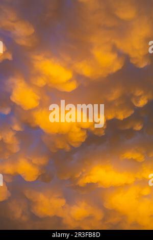 Les nuages Cumulus et Stratus dans un ciel spectaculaire au coucher du soleil sur le Cap Banque D'Images