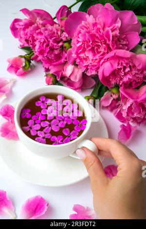 Aménagement créatif avec fleurs de pivoines roses. Femme tenant une tasse de thé sur une table lumineuse. Printemps saisonnier Valentin, femme, mot Banque D'Images