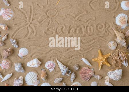 Composition avec soleil de palmier peint sur des coquillages de sable, galets, maquette sur fond de sable. Vierge, vue de dessus, durée de vie fixe, plat. Banque D'Images