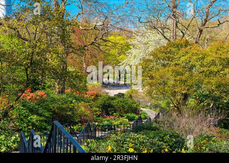 Printemps dans le parc de la ville Planten un Blomen à Hambourg Banque D'Images