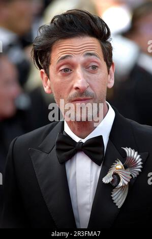 Cannes, France. 23rd mai 2023. Adrien Brody arrive au tapis rouge de la ville astéroïde lors du festival annuel de Cannes 76th au Palais des Festivals sur 23 mai 2023 à Cannes, France. Photo de Rocco Spaziani/UPI crédit: UPI/Alay Live News Banque D'Images