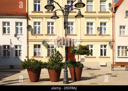 Lampe de rue avec de belles fleurs fleuries et des plantes vertes devant les bâtiments à l'extérieur Banque D'Images