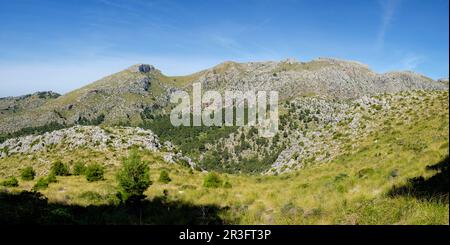 Mola de sEsclop, 929 mts, y coma des Voltors, Finca Pública Galatzó, Calvia, Majorque, iles baléares, espagne, europe. Banque D'Images
