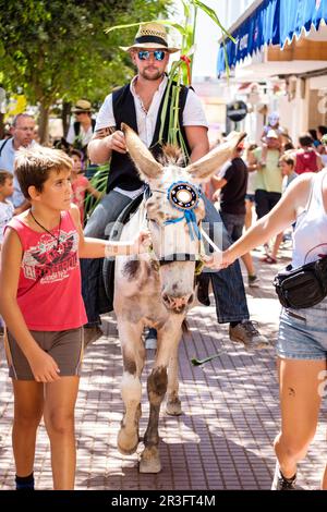 Parodia de Jaleo Jaleo, d'Ases, Fêtes de Sant Bartomeu, Ferreries, Minorque, Iles Baléares, Espagne. Banque D'Images