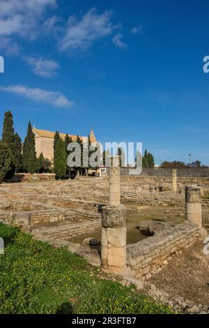 Theather, ville romaine de Pollentia, époque républicaine, 123 av. J.-C., fondée par Quintus Caecilius Metellus, Alcudia, Majorque, îles Baléares, Espagne. Banque D'Images