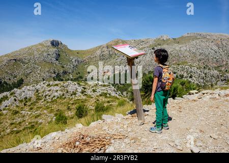Itinerario de ses avions, Finca Pública Galatzó, Calvia, Majorque, Iles Baléares, Espagne, Europe. Banque D'Images