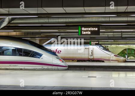 Trains À grande vitesse AVE de RENFE à la gare de Barcelona Sants en Espagne Banque D'Images