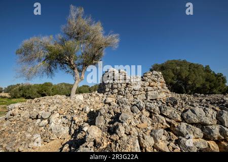 Talayot circulaire, conjunto de Capocorb Vell, prehistórico principios del primer milenio a. C. (Edad de Hierro), Monumento Histórico Artístico, Palma, Majorque, îles Baléares, Espagne. Banque D'Images