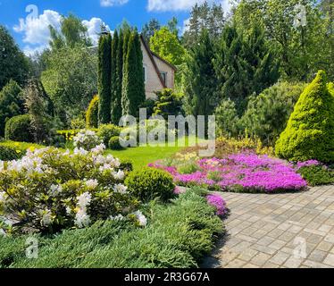 Jardin conception de paysage avec plantes à fleurs, pelouse verte, vergreens ornementaux et buis figuré. Concept de jardinage. Banque D'Images