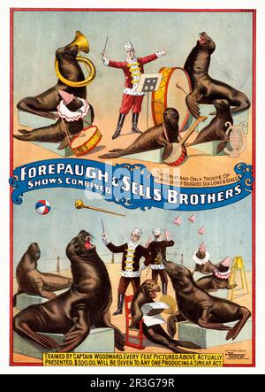 Forepaugh & vend une affiche de cirque des Frères montrant des otaries et des phoques en scène, vers 1899. Banque D'Images