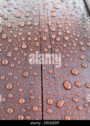 Beaucoup de gouttes d'eau sur un arbre sombre Banque D'Images