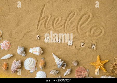 Composition avec texte HELLO ÉTÉ coquillages, galets, maquette sur fond de sable. Vierge, vue de dessus, durée de vie fixe, plat. Somme de mer Banque D'Images