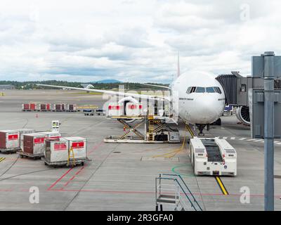 Gardermoen, Norvège - 22 août 2022: Emirates Boeing 777-300ER à une porte de l'aéroport d'Oslo, Gardermoen, chargé avec des conteneurs de fret et de bagages Banque D'Images