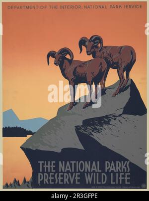 Affiche ancienne pour le Service des parcs nationaux faisant la promotion des déplacements dans les parcs nationaux, montrant deux mouflons de dormeuse, vers 1936 Banque D'Images