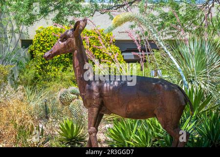 Cerf en métal sculpté au parc Tohono Chul, Tucson, Arizona, États-Unis Banque D'Images