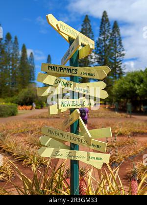 Plantation d'ananas Dole à Wahiawa, Oahu, Hawaii, États-Unis Banque D'Images