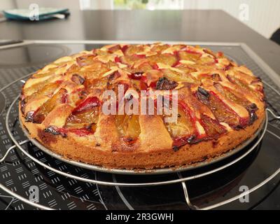 Gâteau aux prunes dans un plat de cuisson, maison, nourriture saine, nourriture biologique Banque D'Images