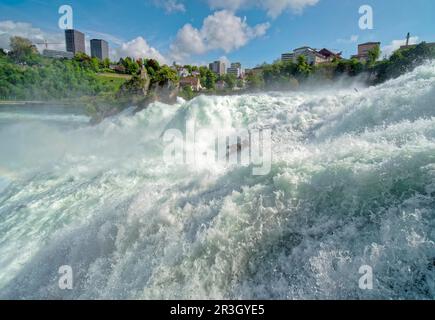 Chutes du Rhin près de Schaffhausen, chute d'eau, Neuhausen am Rheinfall, canton de Schaffhausen, Suisse Banque D'Images