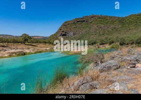 Fleuve turquoise, Wadi Darbat, Salalah, Oman Banque D'Images