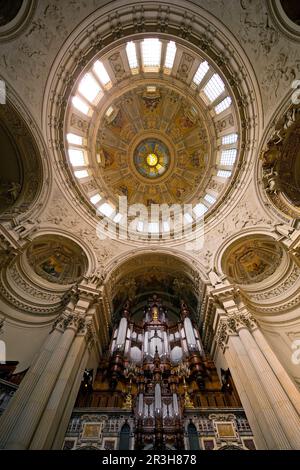 Vue sur le dôme et l'orgue Sauer, vue intérieure, cathédrale de Berlin, Berlin, Allemagne, Europe Banque D'Images