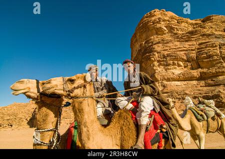 Bédouins avec chameaux dans le désert, Wadi Rum, Jordanie Banque D'Images