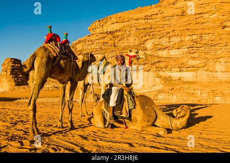 Ami Bédouin avec ses chameaux, Wadi Rum, Jordanie Banque D'Images