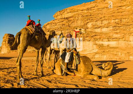 Ami Bédouin avec ses chameaux, Wadi Rum, Jordanie Banque D'Images