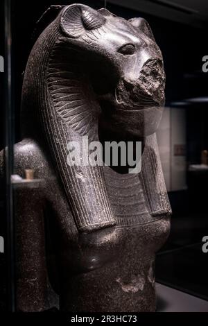 Fragment d'une statue de la déesse Sekhmet, granit noir, 18th dynastie régnant Amenhotep III, Temple de Mut, Karnak, Thèbes, Egypte, Collection du British Museum. Banque D'Images