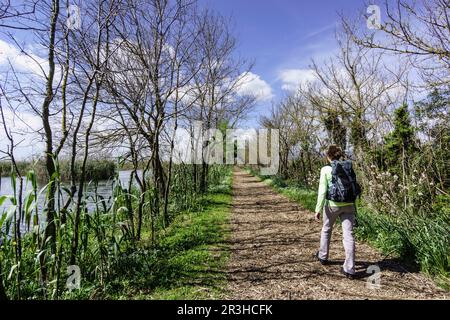 Trekking en el Camino de Sa Siurana-canal des Sol,, l'Albufera de Majorque, Mallorca, Islas Baleares, Espagne. Banque D'Images