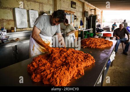 Especiado y mezcla de la sobrasada, matanza tradicional del cerdo, Llucmajor, Mallorca, Islas Baleares, Espagne. Banque D'Images