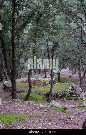 Horno de cal, finca publica fils Moragues, Camí de s'Arxiduc, Valldemossa, Paraje natural de la Serra de Tramuntana, à Majorque, îles Baléares, Espagne. Banque D'Images