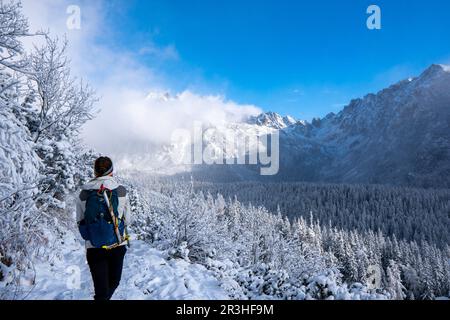 un homme dans une veste jaune est debout sur le sentier touristique et regarde la vue magnifique. Mountainet une montagne enneigée par une belle journée d'hiver. Tatr Banque D'Images