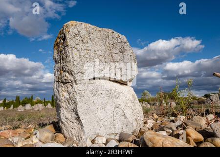 Stèle funéraire de Vacceos, nécropole de 'Las Ruedas', ancienne ville de Vaccea de Pincia, Padilla de Duero, province de Valladolid, Espagne. Banque D'Images