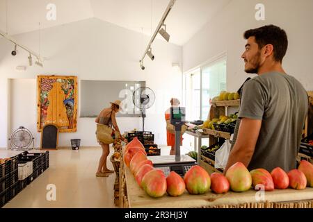 Mercat Pagès, Centre Artesà Antoni Tur Gabrielet ,Sant Francesc Xavier, Majorque, Iles Baléares, Espagne. Banque D'Images