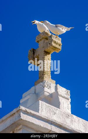 Eglise de Fornells (1783). Bahia de Fornells.Menorca.Illes Balears.España. Banque D'Images