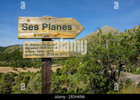 Itinerario de ses avions, Finca Pública Galatzó, Calvia, Majorque, Iles Baléares, Espagne, Europe. Banque D'Images
