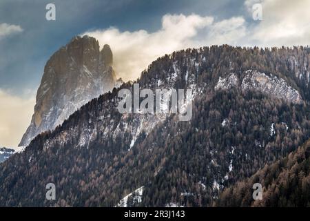 Montagnes de dolomie couvertes de neige blanche et de conifères verts Banque D'Images