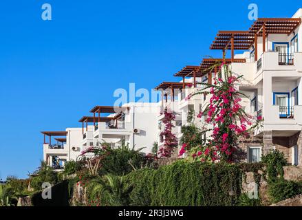 Maisons d'été blanches traditionnelles à Bodrum, Turquie. Concept de vacances d'été Banque D'Images