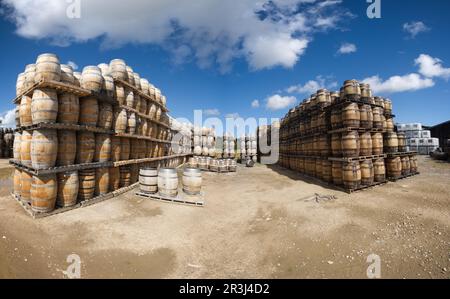 Glen Moray, Whisky, distillerie, Elgin, Highland, Écosse, Grande-Bretagne Banque D'Images