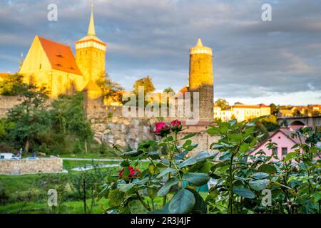 Bautzen, la vieille ville avec l'art de l'eau et Michaeliskirche Banque D'Images