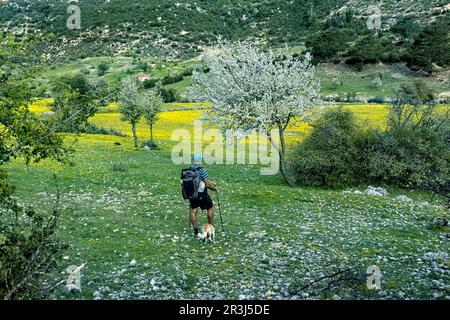 Printemps sur la voie lycienne, Berzigan, Turquie Banque D'Images