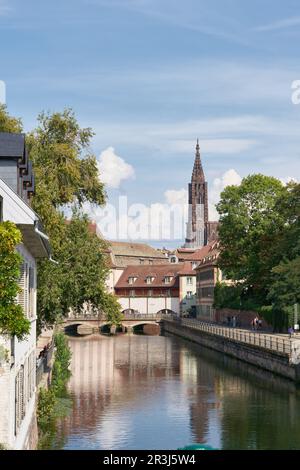 Vieille ville de Strasbourg en France sur la rivière Ill. En arrière-plan la cathédrale de Strasbourg. Banque D'Images