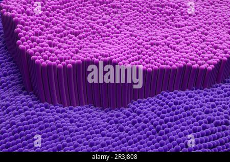 Structure du tendon dans le corps humain - 3D illustration vue isométrique Banque D'Images